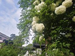 -常熟方塔园