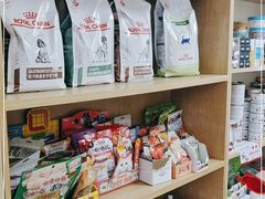 -中农大我爱我爱24h动物医院·中医针灸·猫专科·骨科医疗中心(双井店)