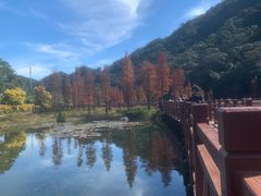 -广州市石门国家森林公园