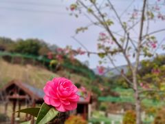 -双龙潭生态运动景区