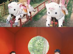 -合肥滨湖国家森林公园