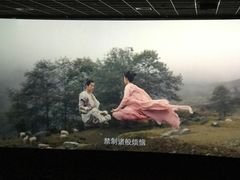 -璇宫国际影城(江汉路店)