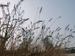 -盘龙城国家考古遗址公园