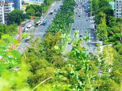 -板樟山森林公园