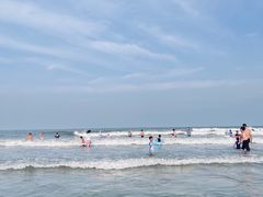 -日照海滨国家森林公园