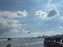 -星海湾跨海大桥