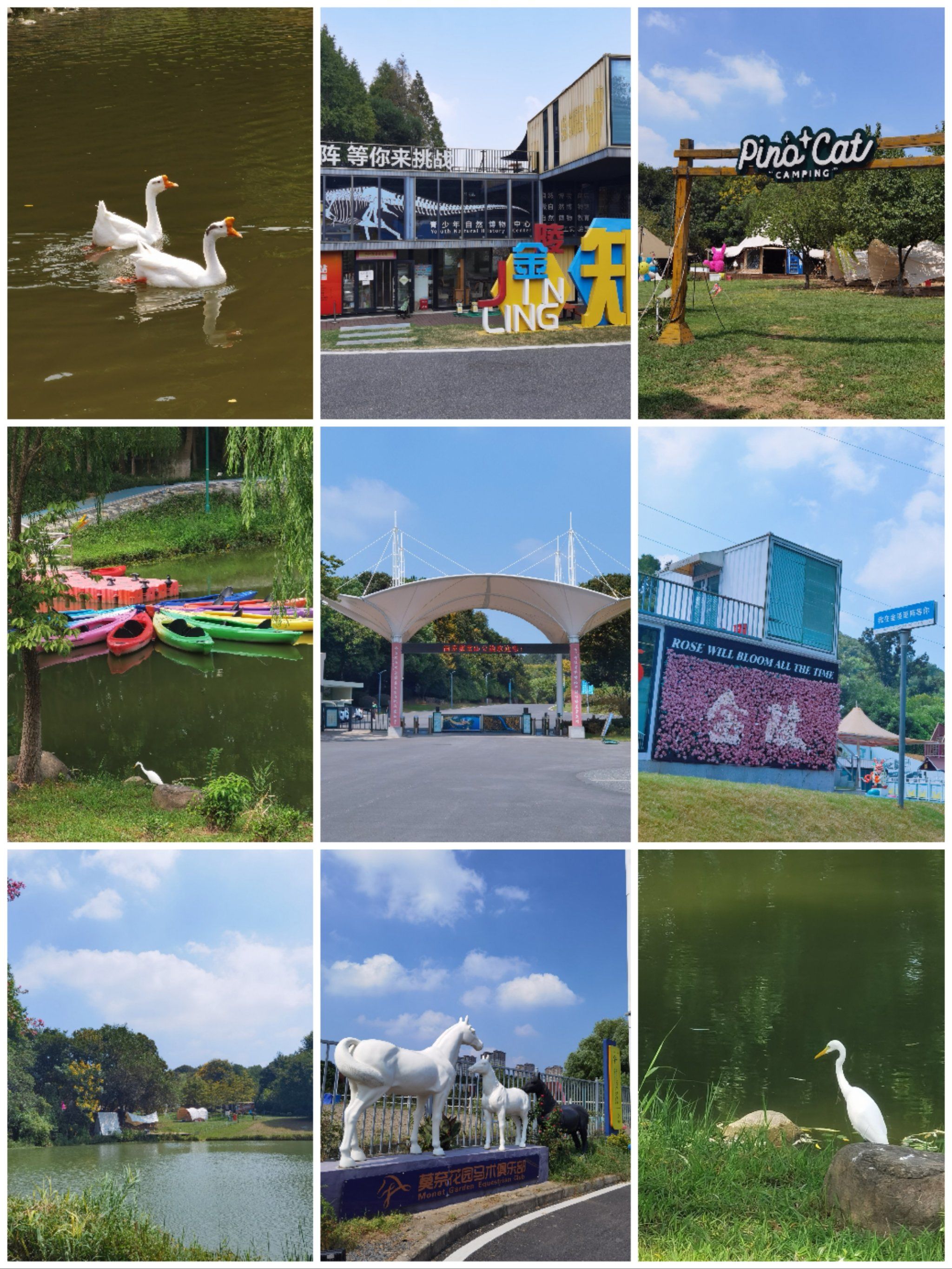 南京聚宝山公园:公园很大,景色出片,有点费腿