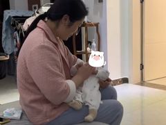 -天鹅到家·保姆月嫂育儿嫂(总店)