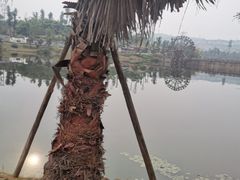 -枫香湖儿童公园