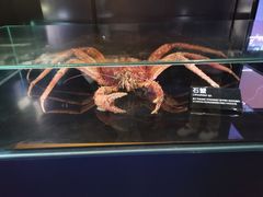 -同济大学四平路校区深海探索馆