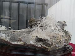 -房山世界地质公园博物馆