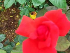 -人民公园(罗湖区)