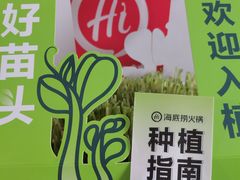 -海底捞火锅(凤凰广场店)
