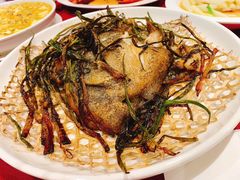 -老吉士酒家(天平路店)