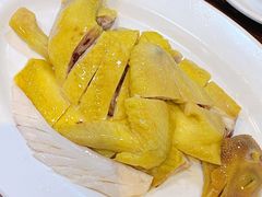 招牌凤厨鸡-凤厨顺德水乡凤味馆(大良锦龙路店)