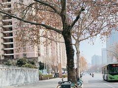 -西安西藏大厦开元名都大酒店·自助餐厅