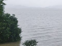 -深圳湾公园(南山区)