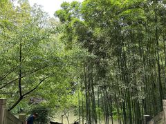 -成都杜甫草堂博物馆