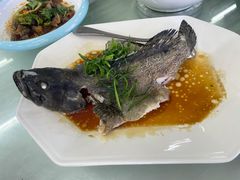 清蒸石斑鱼-双月饭店·20年老字号(新村店)