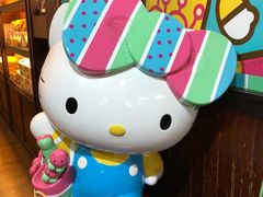 -红樱花食品公司Hello Kitty台湾伴手礼专卖店(淡水店)