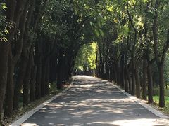 -同里国家湿地公园