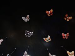-上海当代艺术博物馆