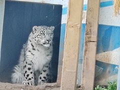 -青藏高原野生动物园