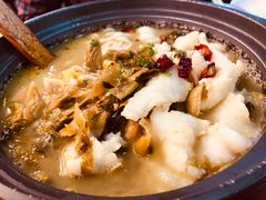 -周鱼小馆石锅酸菜鱼(活力汇店)