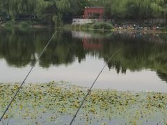 -北坞公园