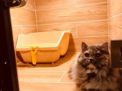 -小尾巴宠物店(万科·金域华庭店)