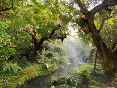 -Chom Cafe and Restaurant