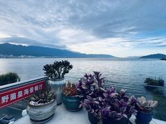 -野菌皇海景野生菌火锅(滨海大道店)