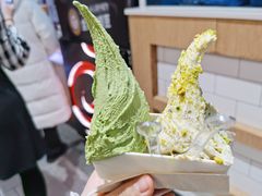 -野人先生现做冰淇淋(西安赛格店)