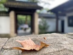 -杭州植物园