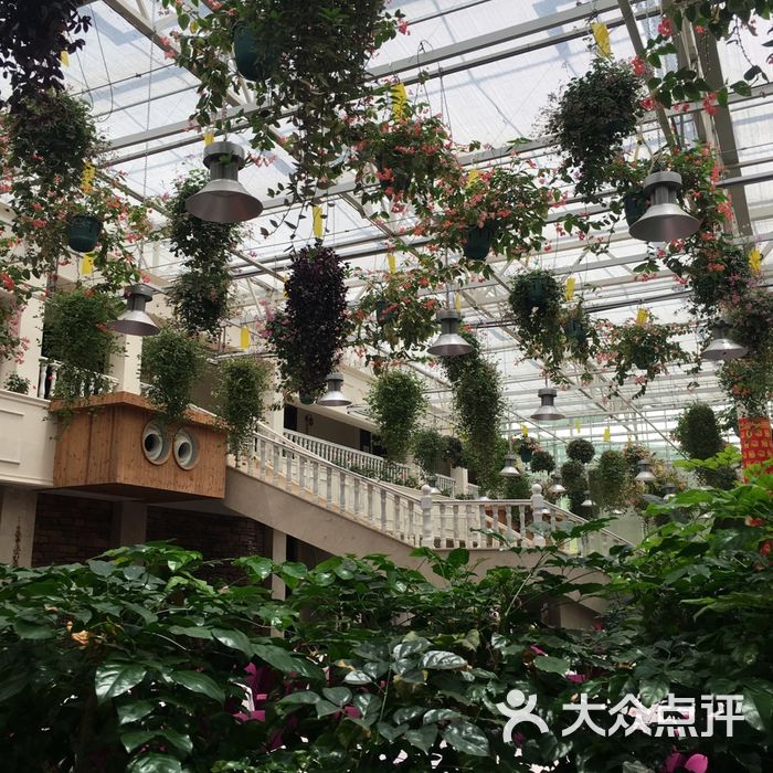 天宫南铂玫瑰园酒店