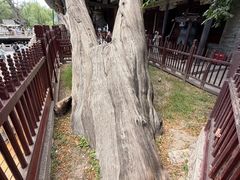 -晋祠公园