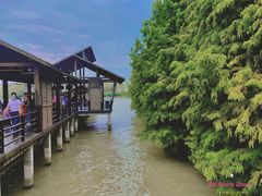 -溱湖国家湿地公园