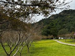 -五泄景区