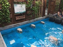 -固安来康郡来康温泉