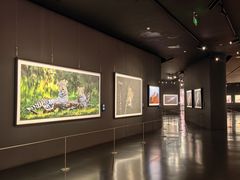 -罗红摄影艺术馆