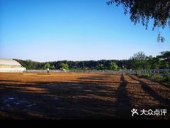 -月河湾马术俱乐部(朝阳店)