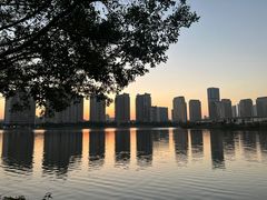 -厦门园林博览苑