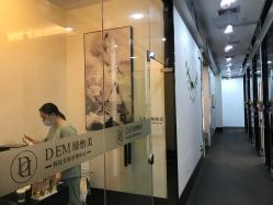 -DEM缔怡美科技美容