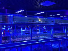 -海合安武汉极地海洋公园