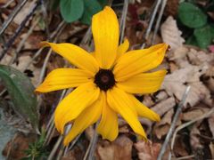 -丹东天桥沟景区