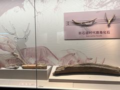 -淮安市博物馆