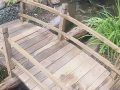 -陶野咖啡·面包披萨