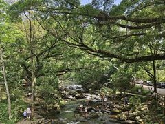 -广州市石门国家森林公园