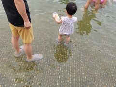 -天鹅湖体育公园