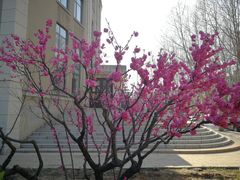 -大连理工大学(凌水校区)